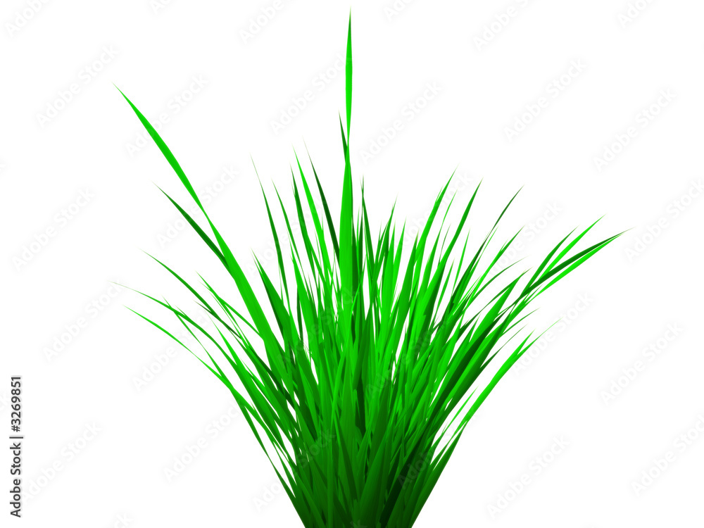 grass clump