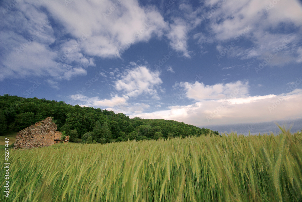 Fototapeta premium la campagne
