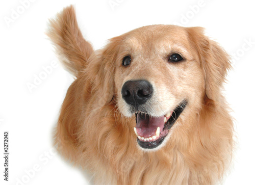 smiling for the camera