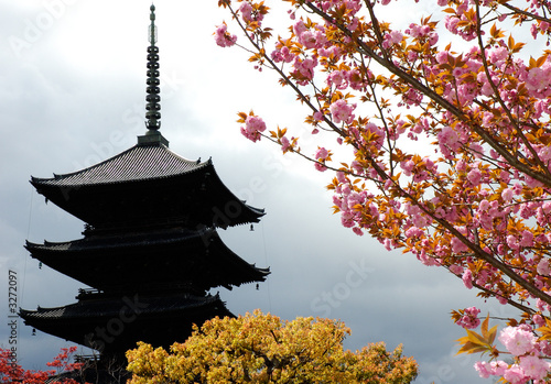 pagoda toji
