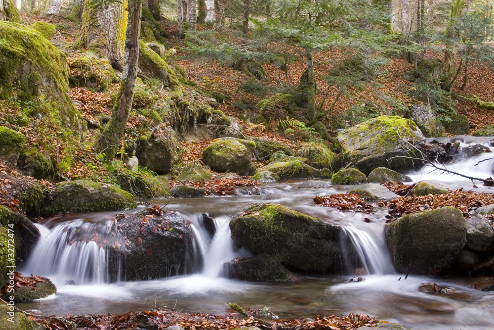 cours d'eau