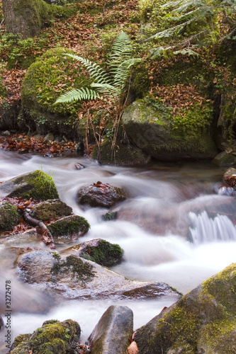 cours d eau