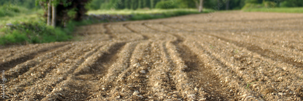 terre labourée