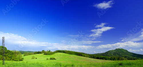 panorama photo of meadow in sunny day.