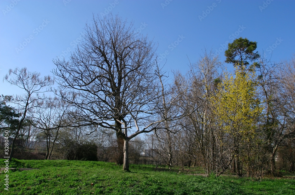 early spring scenery early spring scenery