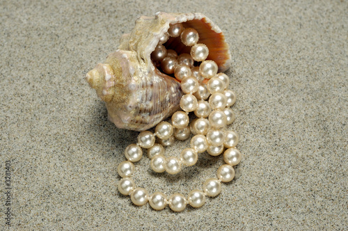 snail with pearls on the beach detail