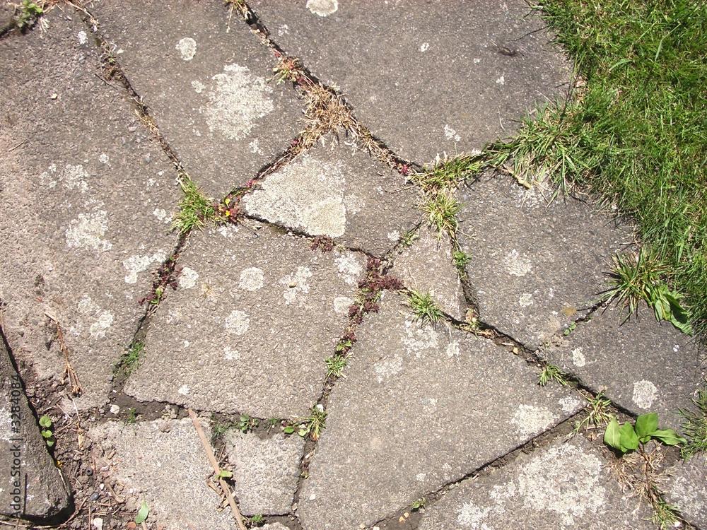 Obraz premium pavement