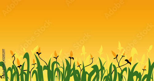 foliage background