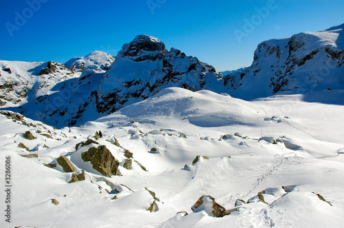 in the high, winter mountain © Radoslav Stoilov