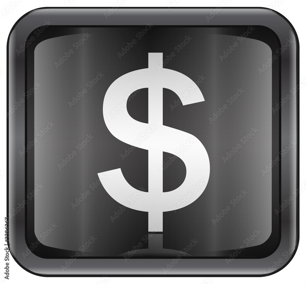button dollar icon. (with clipping path) button dollar icon. (with clipping path)