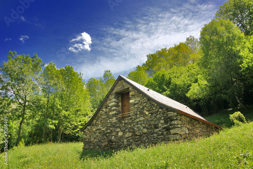 Fotomural cabane de montagne
