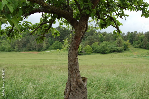 campagne photo