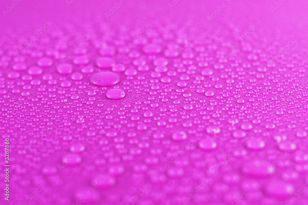 water drops on pink (shallow dof) water drops on pink (shallow dof)