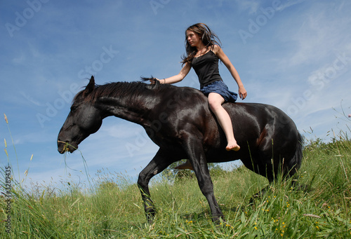 cheval libre et cavaliere