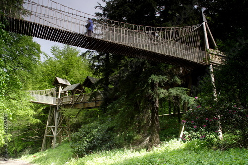 alnwick garden photo