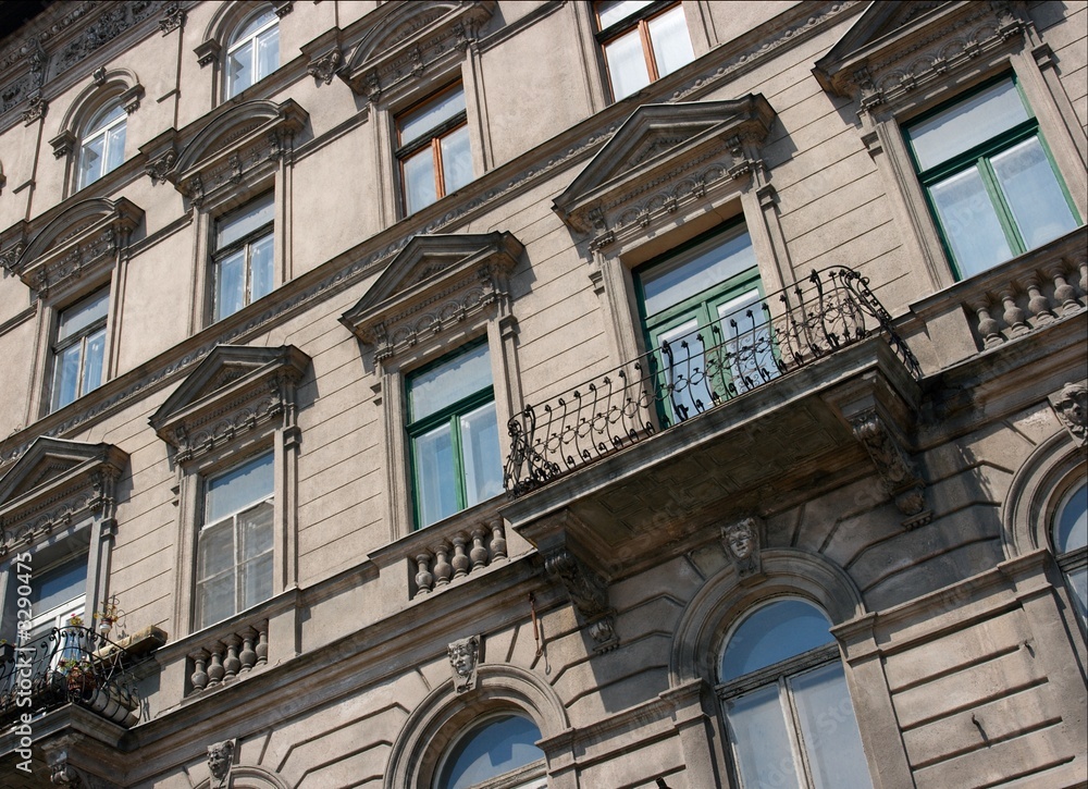 Obraz premium house