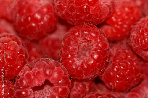 raspberries
