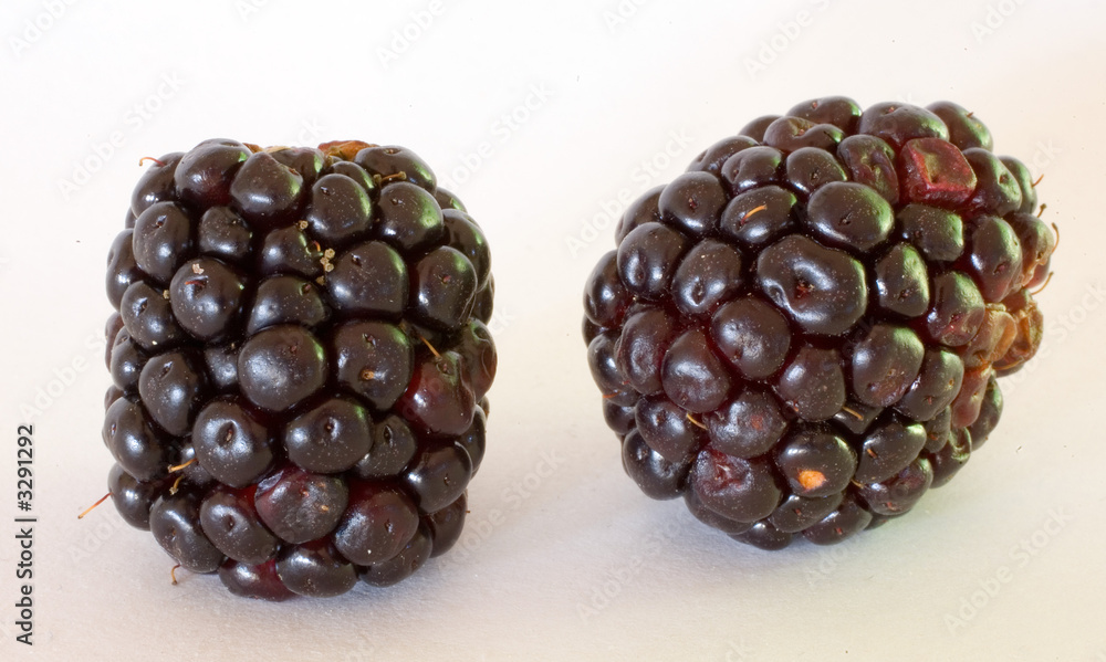 two blackberries two blackberries