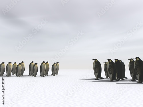 summit