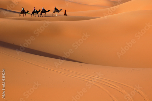 camel caravan in the sahara desert