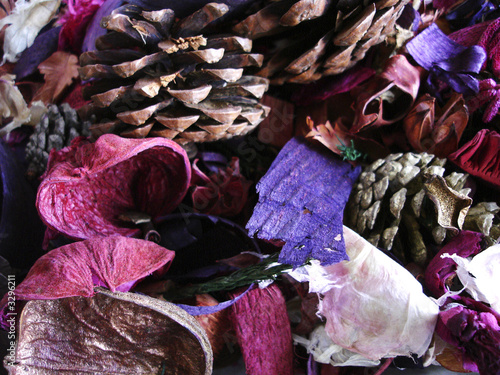 potpourri