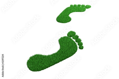 empreintes de pied pelouse photo