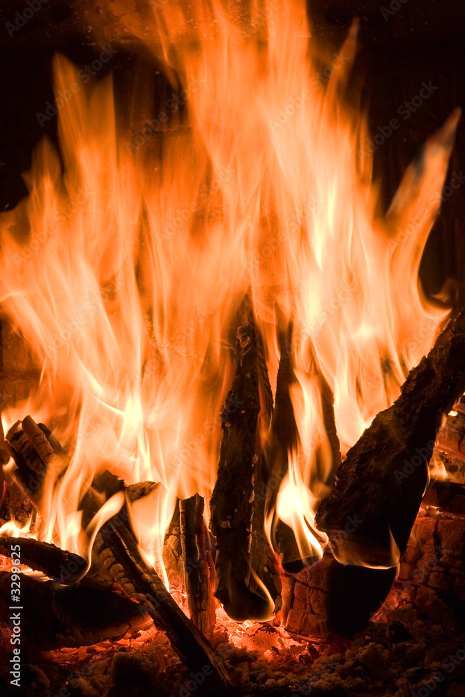 Fototapeta premium dream flame