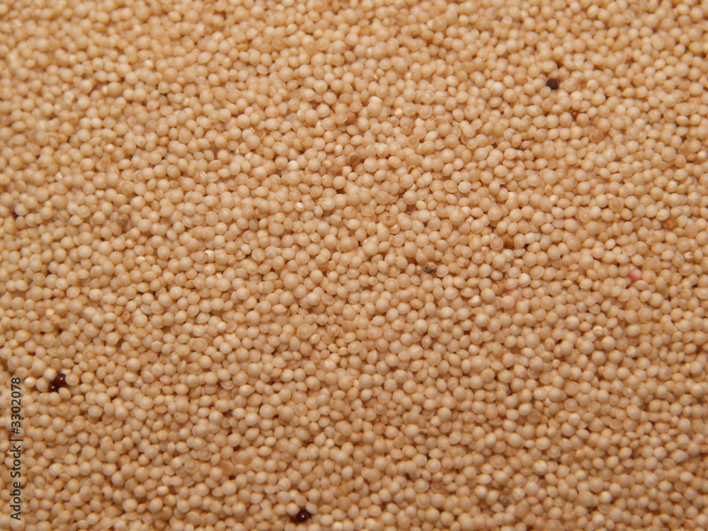amaranth amaranth