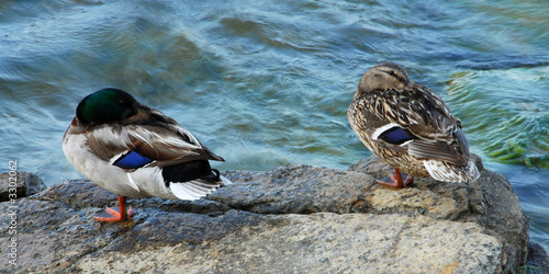 germani a castiglione del lago