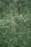 background green marble texture