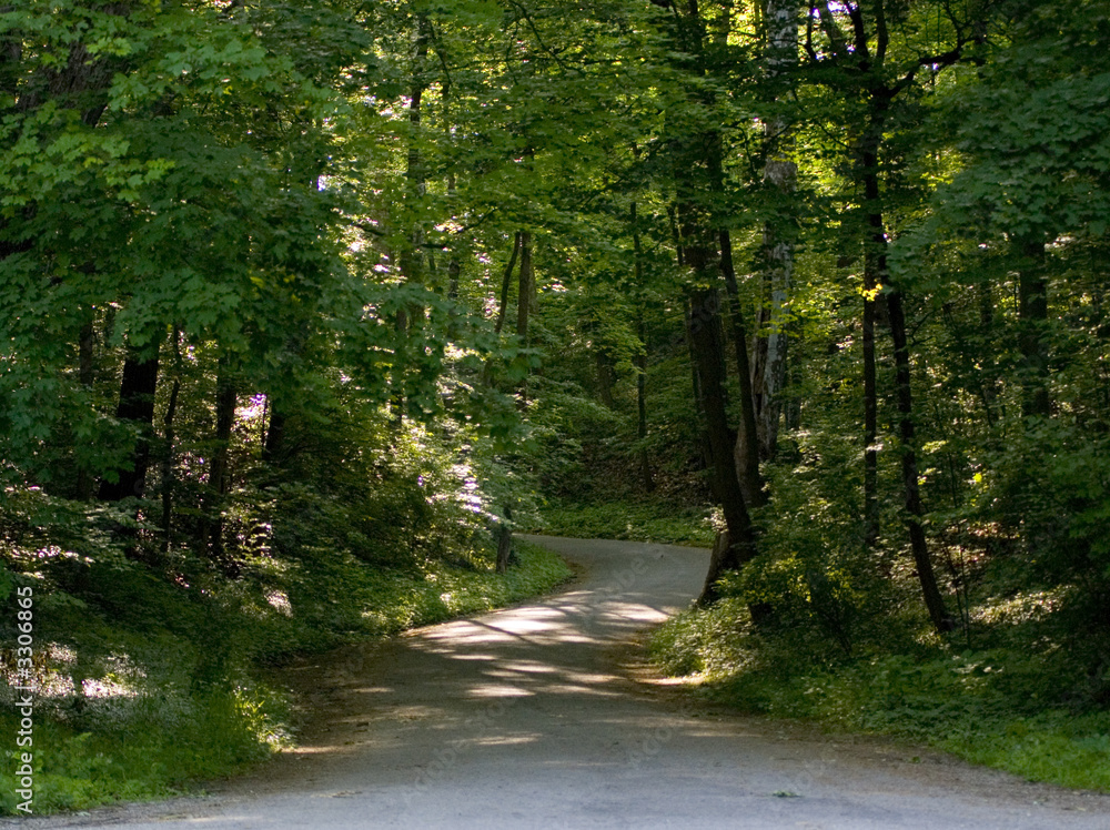 Obraz premium winding road