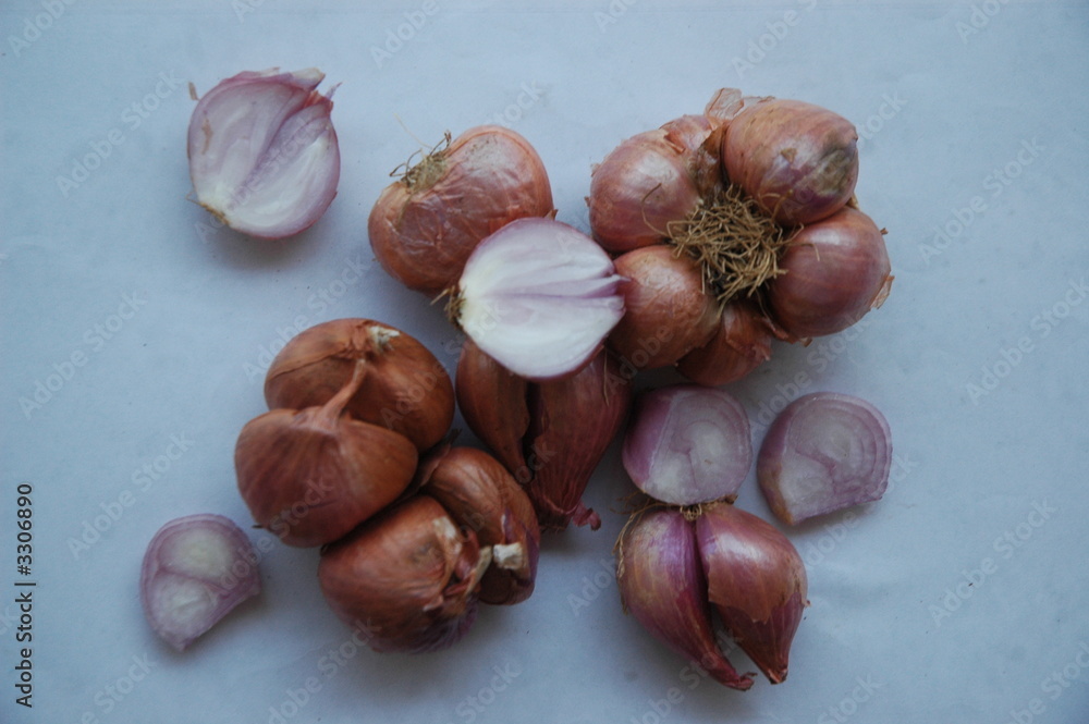 Obraz premium onion
