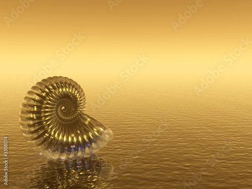 shell_gold