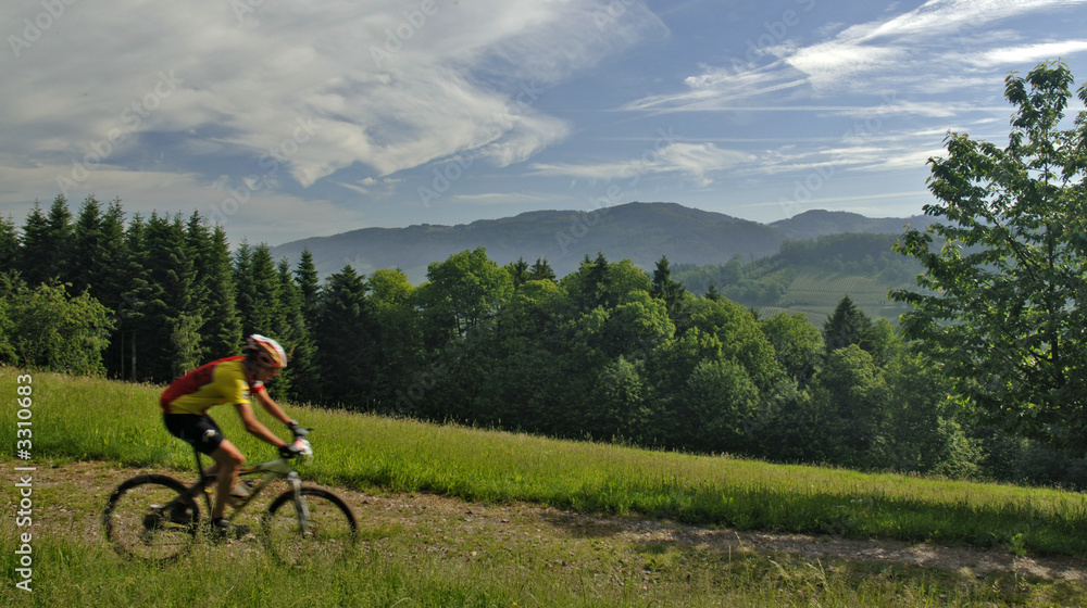 Fototapeta premium worldclass mountainbike rennen