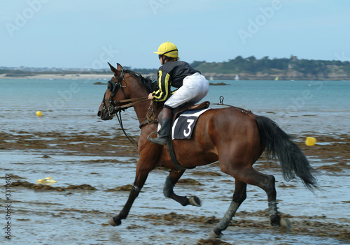 cheval de course sur une plage © vlevelly