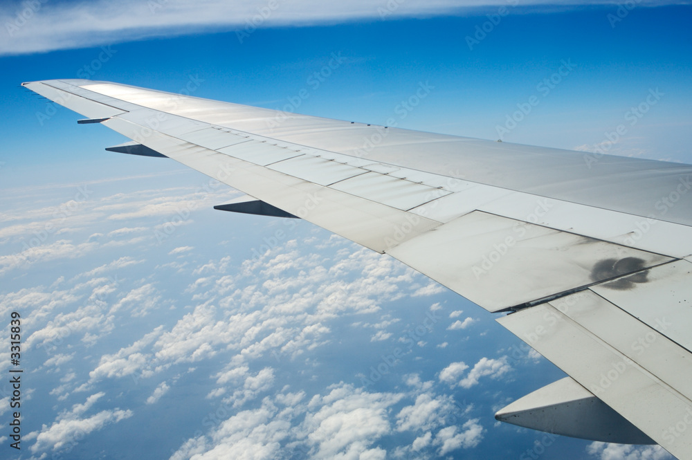 airplane wing airplane wing