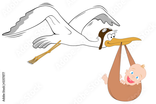 Stork with baby