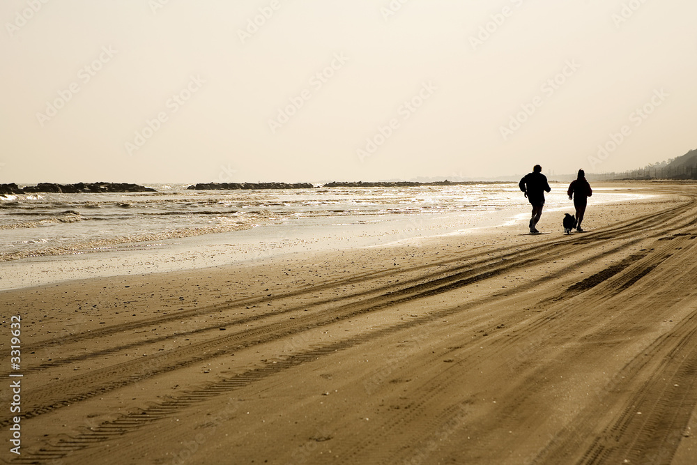 man and woman running on the beach with their dog