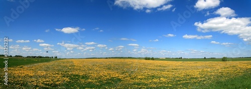 spring panorama