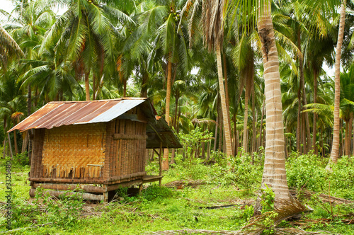 Fotografía coconut villa