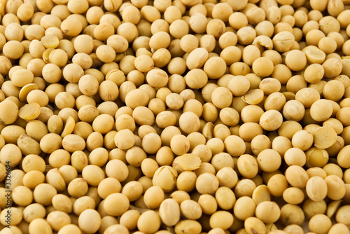soybeans