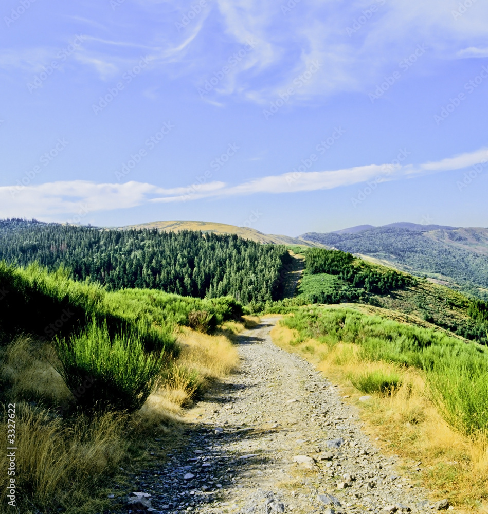 cevennes