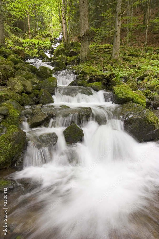 waterfall in a green forest