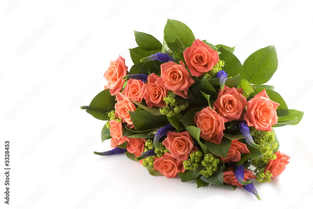 orange roses orange roses