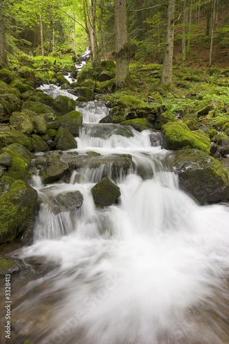 Fototapeta Naklejka Na Ścianę i Meble -  waterfall in a green forest