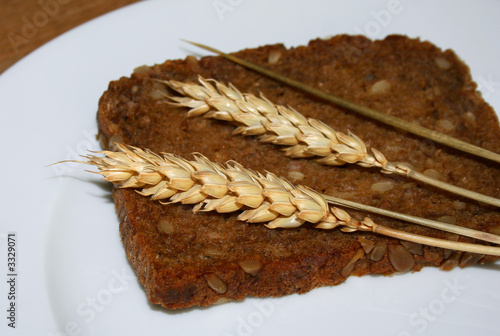 vollkornbrot photo