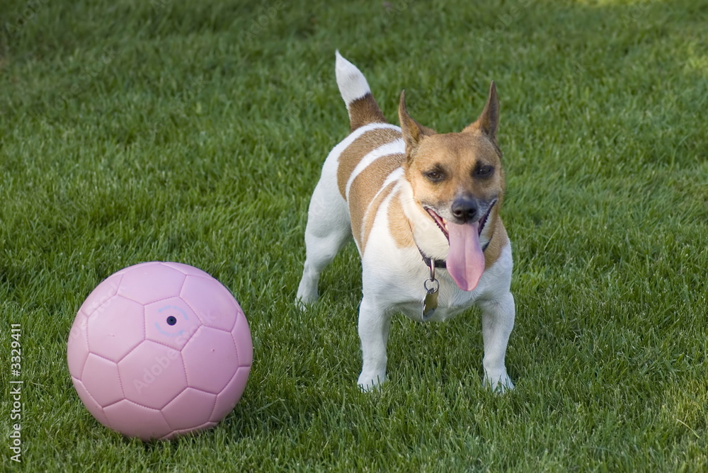 playing soccer playing soccer
