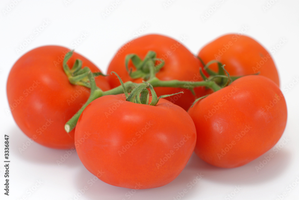 tomates tomates