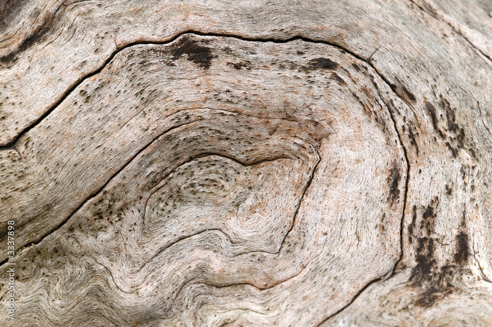 Fototapeta premium wood background