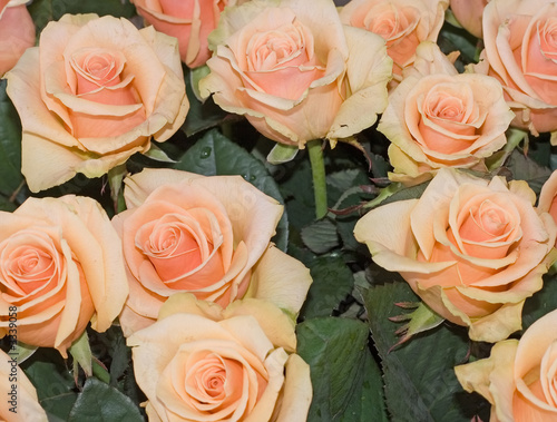 bunch of multiple pink roses of a bride at wedding